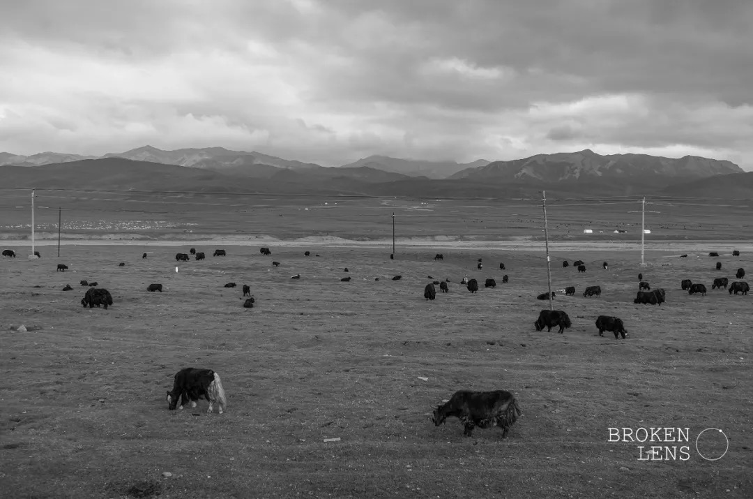 7001602222964_.pic_hd