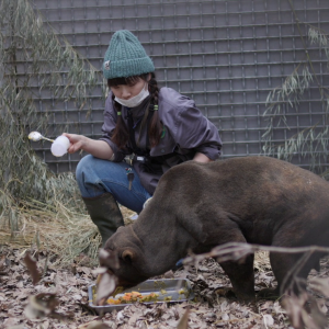 vlcsnap-2021-05-18-17h14m40s111