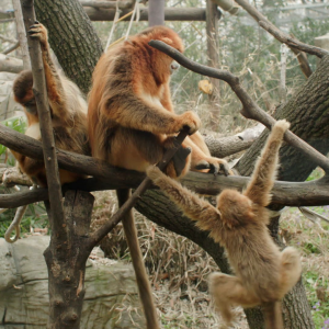 vlcsnap-2021-05-18-17h36m06s568