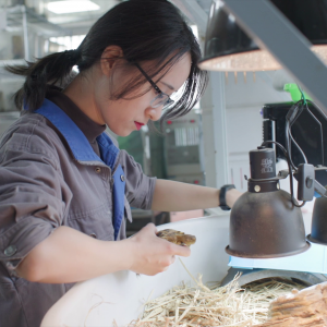 vlcsnap-2021-05-18-17h17m55s551