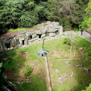 vlcsnap-2021-05-18-17h29m36s885