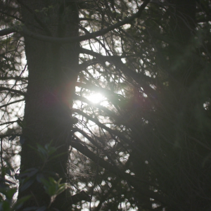 vlcsnap-2021-05-18-17h20m16s846