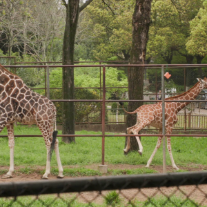 vlcsnap-2021-05-18-17h35m56s089