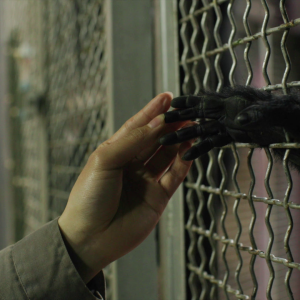 vlcsnap-2021-05-18-17h35m50s459