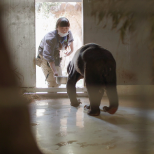 vlcsnap-2021-05-18-17h16m06s763