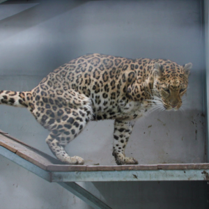 vlcsnap-2021-05-18-17h23m09s119