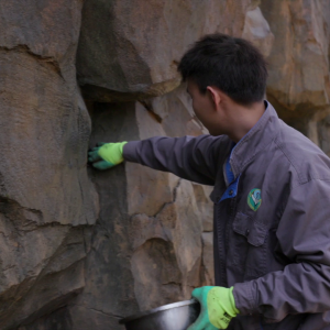 vlcsnap-2021-05-18-17h35m41s093