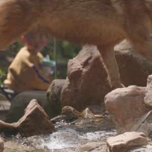 vlcsnap-2021-05-18-17h35m08s030