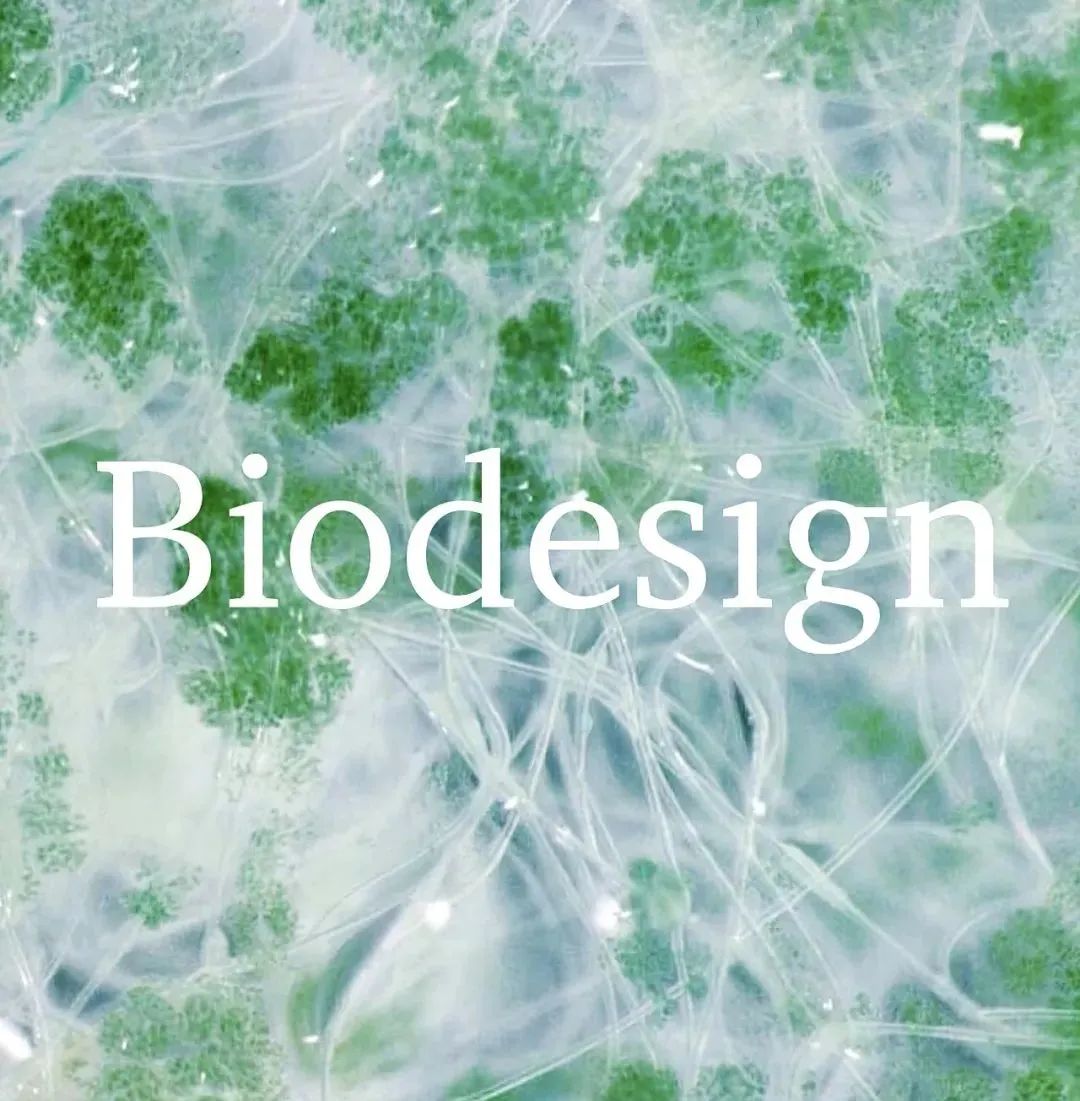 CY TALKS | CSM BIO DESIGN 生物设计—为真实的世界做设计（下）【CoNgYi 枞逸教育】