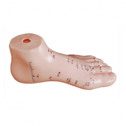 Fuß Akupunktur Modell 13cm