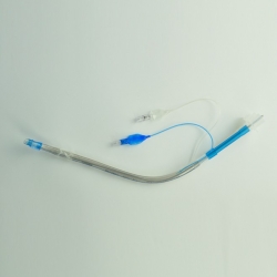 Tracheobronchial Röhre