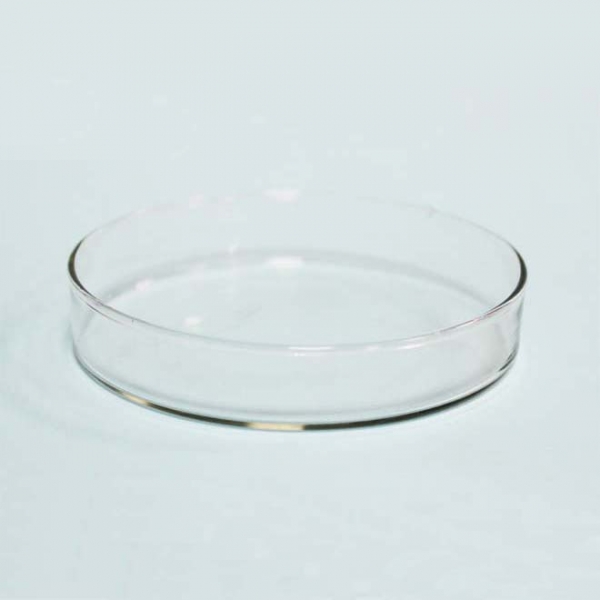 Glas Petrischalen