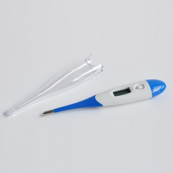 Digitales Thermometer
