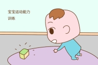 第5個月：開始長本事了