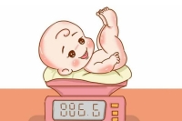 第3個月：我是真正的嬰兒了