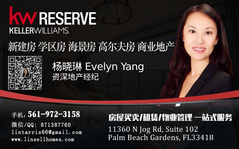 Evelyn Yang 杨晓琳