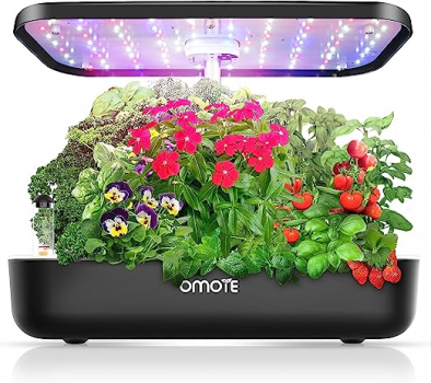 OMOTE室内植物水培套装