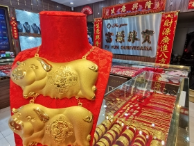 金豬