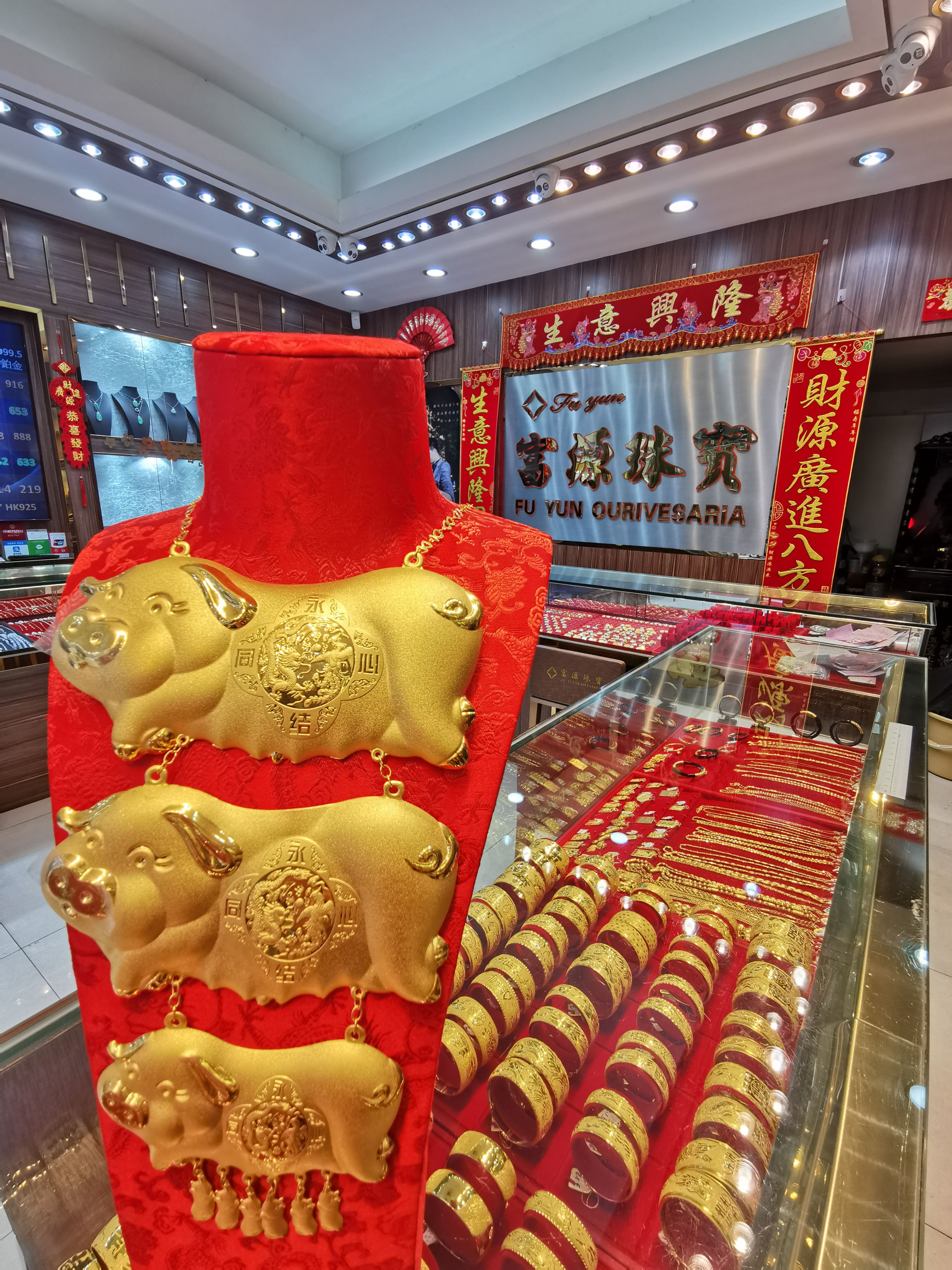 金豬