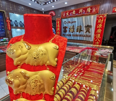 金豬