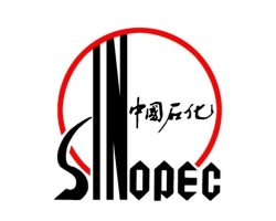 For Brand Logo