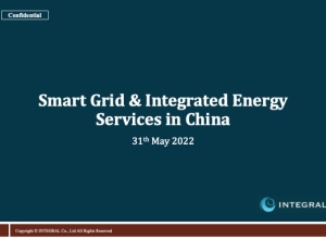 EN_Smart_Grid_and_Integrated_Energy_Services_in_China.2022.05.31