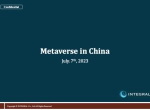 EN_Metaverse_in_China_20230707