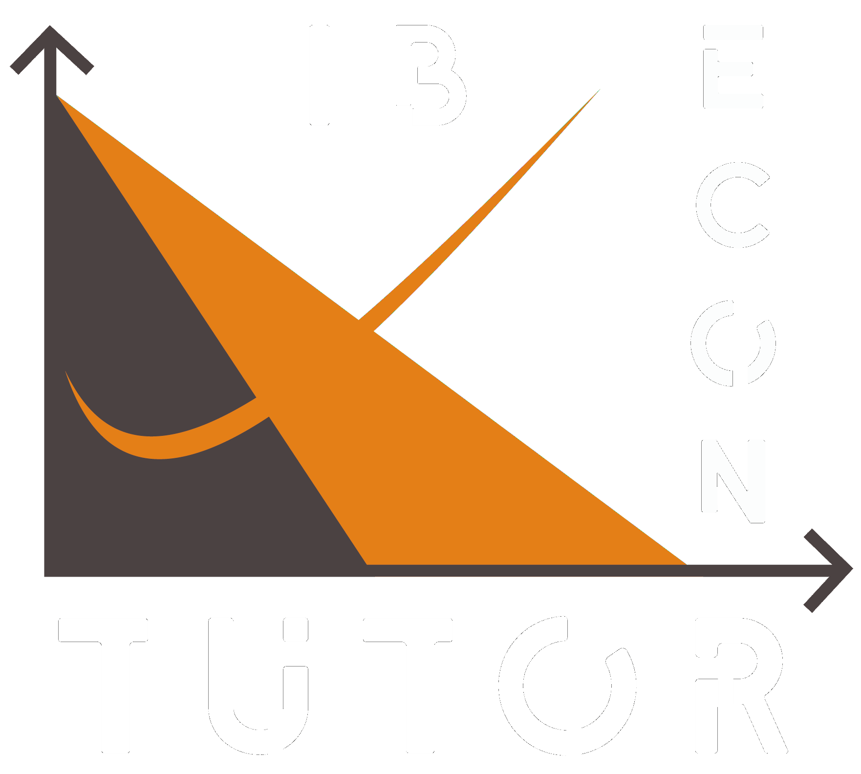 Ib Econ Tutor