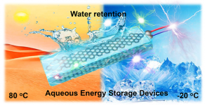 Biomimetic organohydrogel electrolytes for high-environmental adaptive energy storage devices