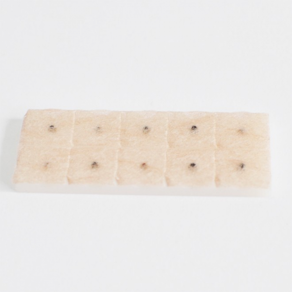 Ear Seeds,Vaccaria Ear Seeds on Surgical Tape,Natural Seeds, 2mm diameter with complexion 3M surgical tape backing, 100pcs per box BOENMED® Natural Vaccaria Ear Seeds