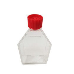 cell culture flask