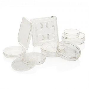 In Vitro Fertilization (IVF) Dish