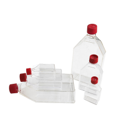 Cell culture flask