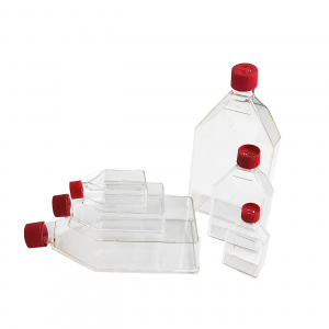 Cell culture flask