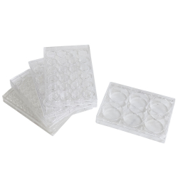 cell culture plate