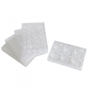 cell culture plate
