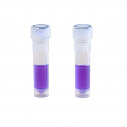BOENMED® Vaporized Hydrogen Peroxide Biological Indicator