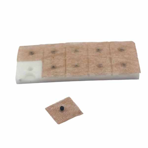 Vaccaria Ear Seeds on Surgical Tape Vaccaria Ear Seeds on Surgical Tape