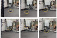 截图20260326111752