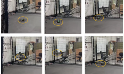 截图20260326111752