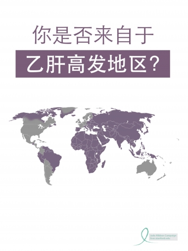 poster_HBV Risk Assessment series(Chinese)