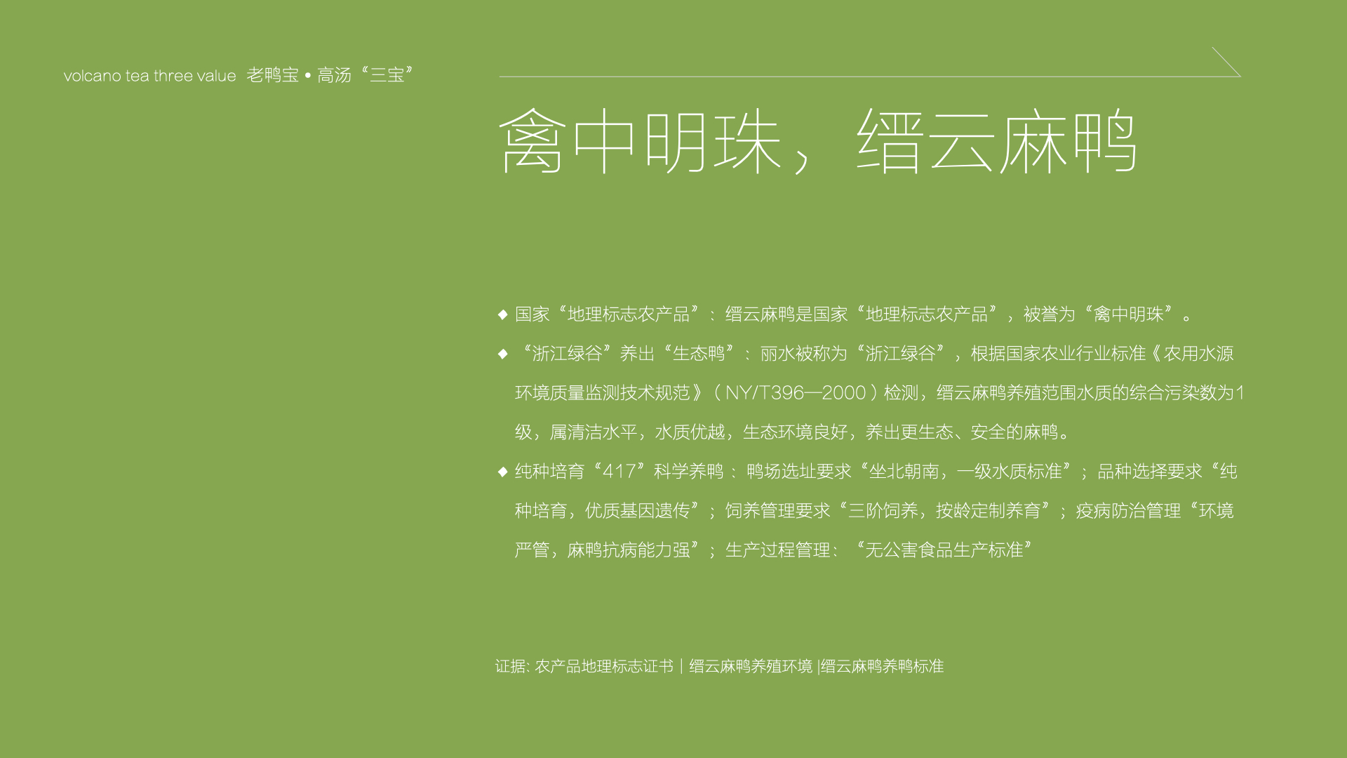 陈江波老鸭煲品牌策划设计-餐饮vi设计-杭州达岸品牌策划设计公司 陈江波老鸭煲品牌策划设计-餐饮vi设计-杭州达岸品牌策划设计公司