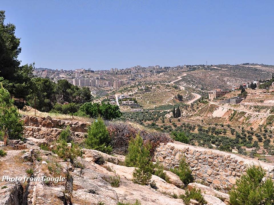 Website pics52242