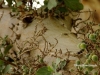 Website pics1222