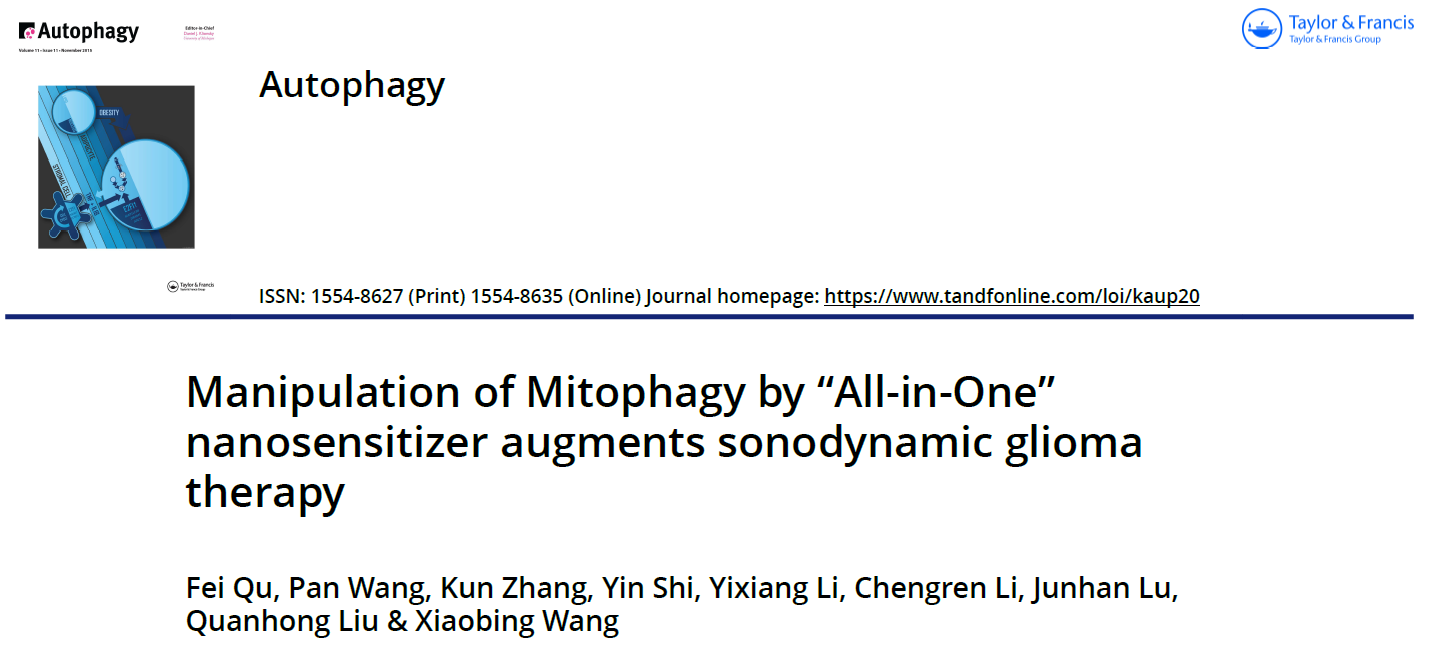 Manipulation of Mitophagy by “All-in-One” nanosensitizer augments sonodynamic glioma therapy-1