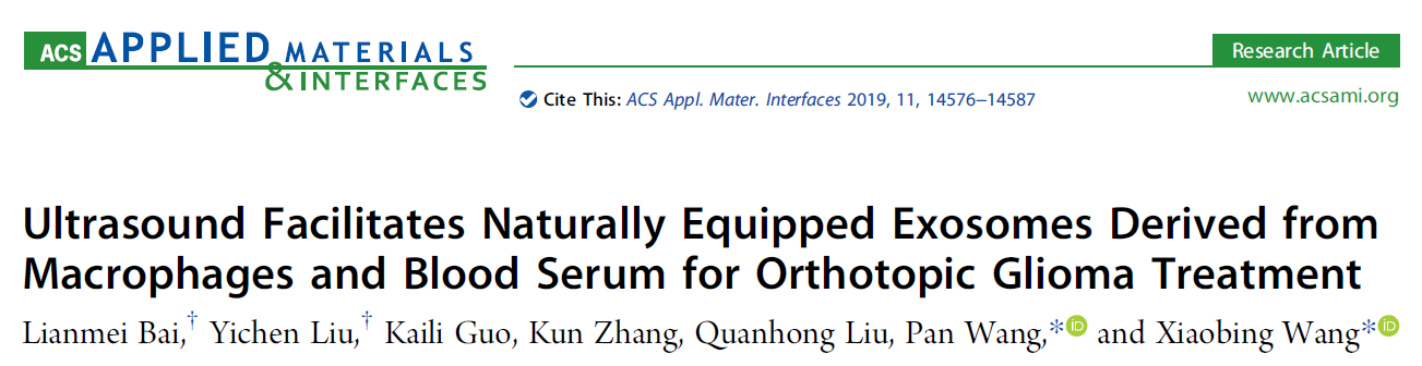 Ultrasound Facilitates Naturally Equipped Exosomes Derived from Macrophages and Blood Serum for Orthotopic Glioma Treatment