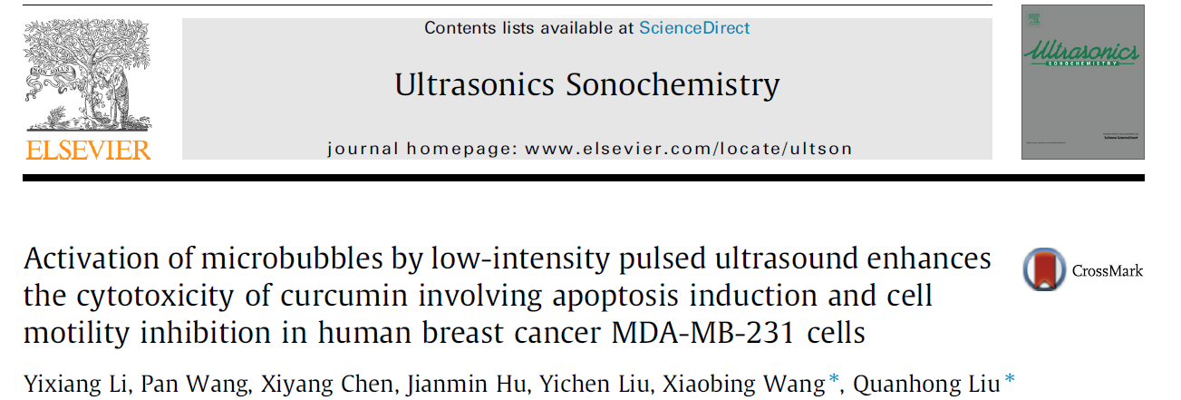 Activation of microbubbles by low-intensity pulsed ultrasound enhances the cytotoxicity of curcumin involving apoptosis induction and cell motility inhibition in human breast cancer MDA-MB-231 cells