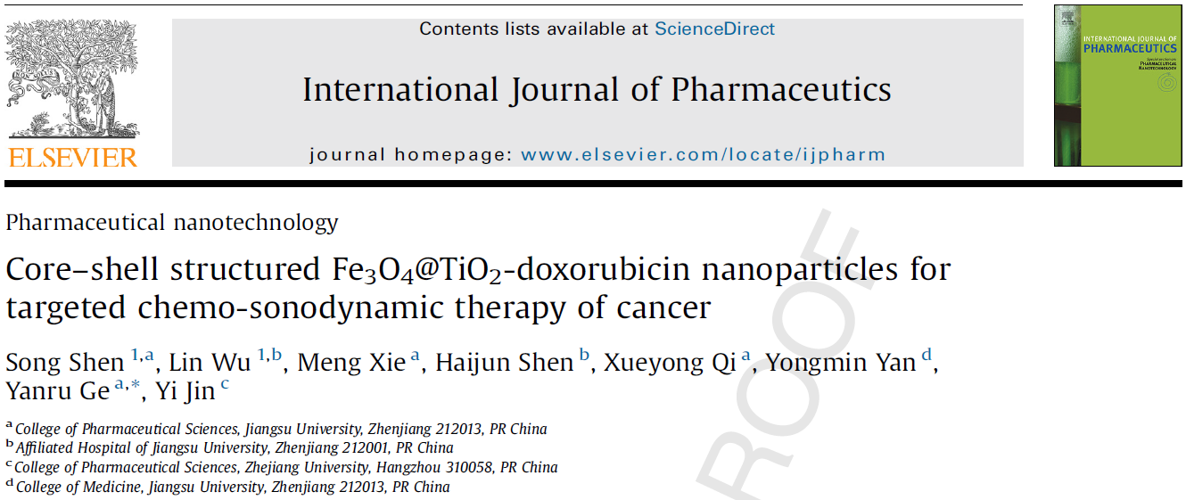 Core–shell structured Fe3O4@TiO2-doxorubicin nanoparticles for targeted chemo-sonodynamic therapy of cancer