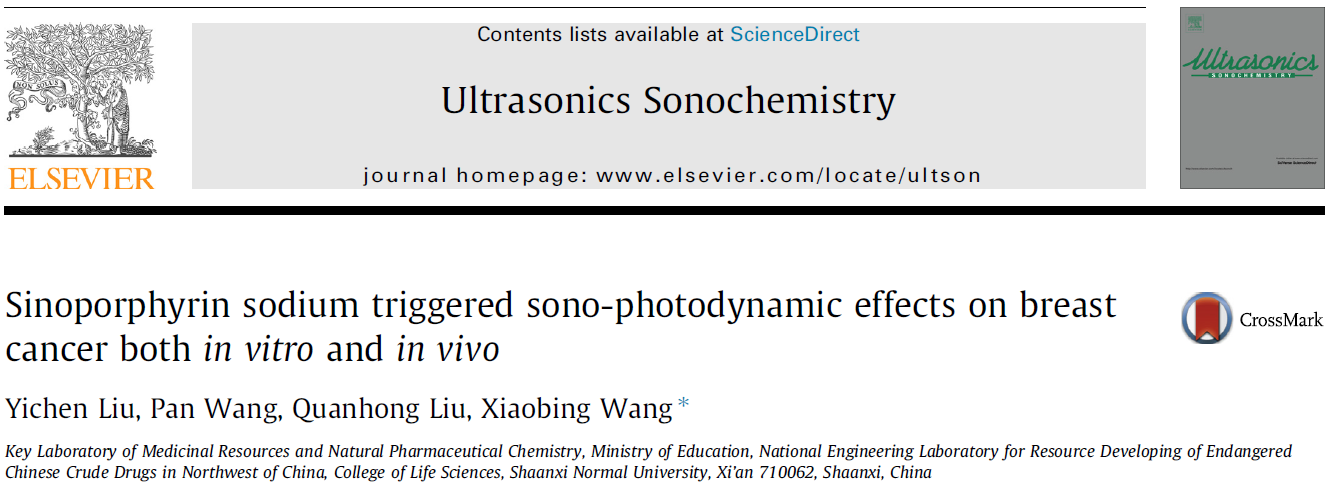 Sinoporphyrin sodium triggered sono-photodynamic effects on breast cancer both in vitro and in vivo