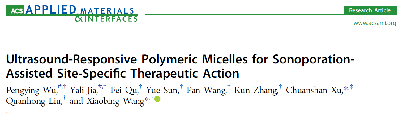 Ultrasound-Responsive Polymeric Micelles for Sonoporation-Assisted Site-Specific Therapeutic Action